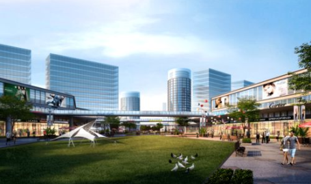 义乌柳青最新爆料,揭秘行业内幕，带你走进真实义乌